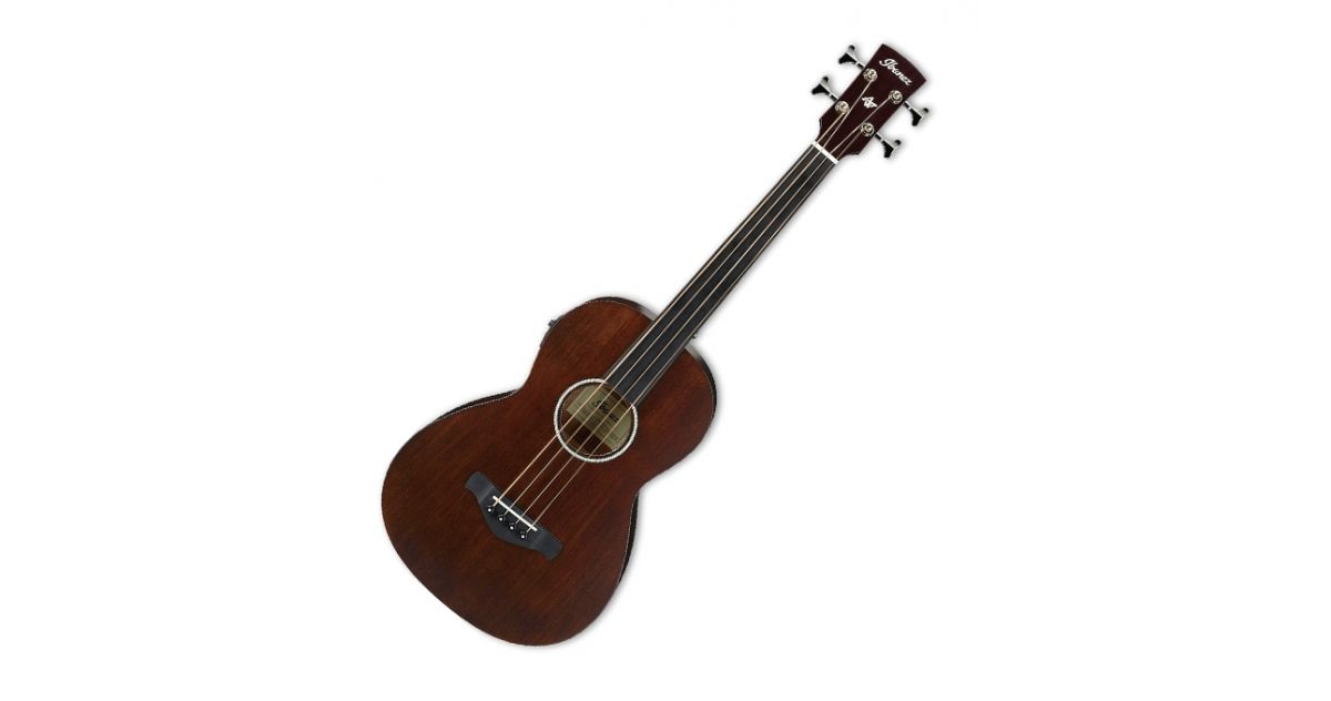 Ibanez AVNB1FE BV Basso Elettroacustico Musical Store 2005