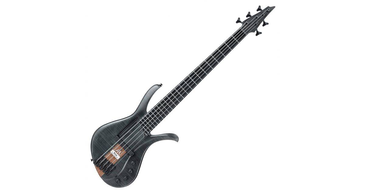 Ibanez AFR5FMP Transparent Gray Flat Musical Store 2005