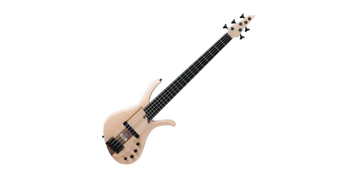 Ibanez afr5fmp deals