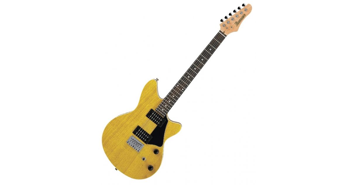 Ibanez rc220 sales