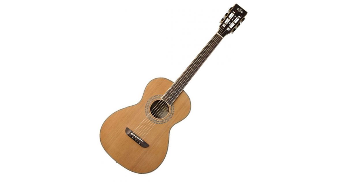 Washburn WP11SNS Chitarra Acustica Musical Store 2005
