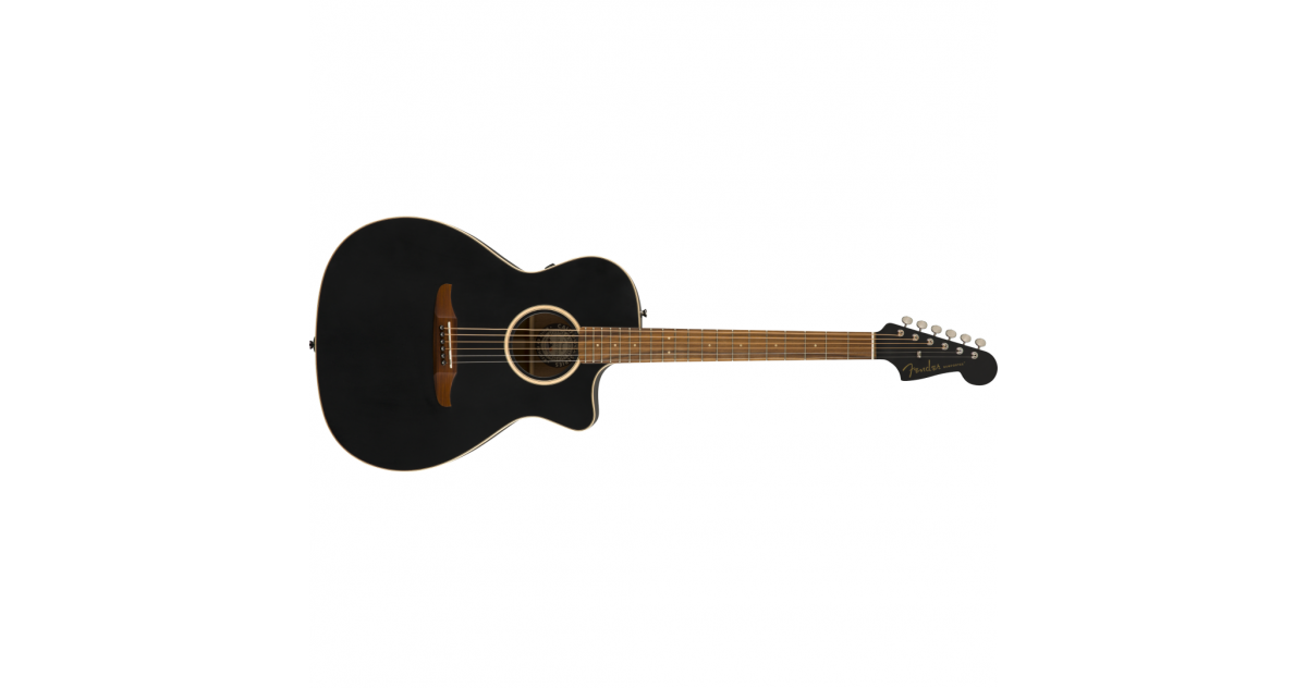 Fender newporter shop special matte black