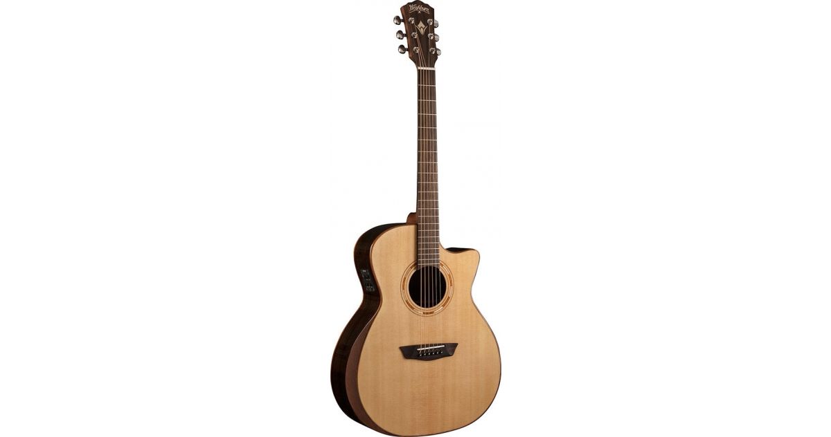 Washburn g20sce top