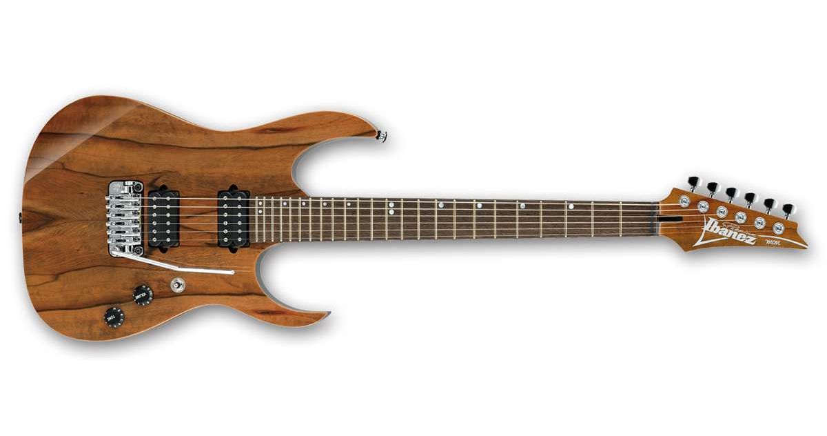 IBANEZ MSM1 c astuccio