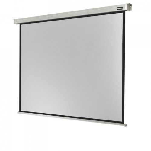 0 celexon Electric Professional 1090099 Electric Professional screen, 300 x 225 cm, 4:3