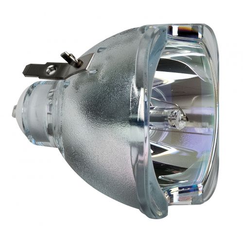 Showtec - YODN R16 C8 Lamp 330W - Light bulbs