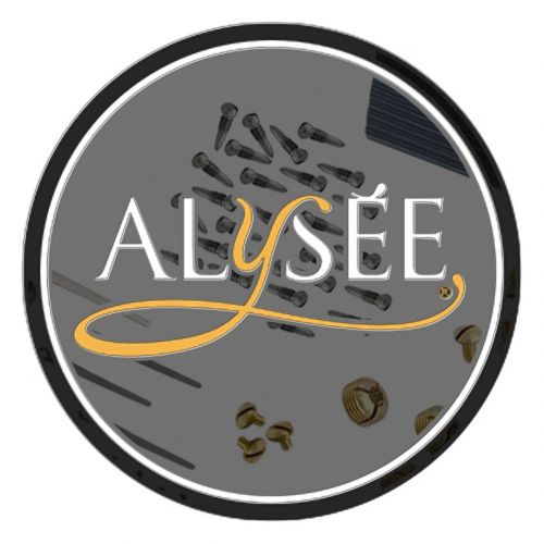 Alysee Set 10 Viti in Plastica Ricambi per Clarinetto in Sib