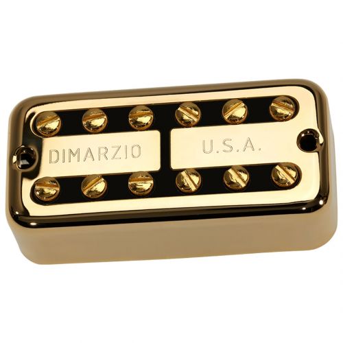 DiMarzio DP293GBK