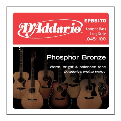 D'ADDARIO EPBB170 - Muta per Basso Acustico Phosphor Bronze Regular Light (045/100)