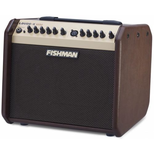 Fishman loudbox mini