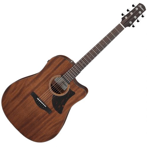 Ibanez AAD190CE-OPN Natural