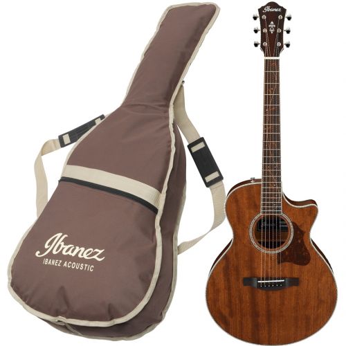 IBANEZ AE245JR Open Pore Natural Musical Store 2005