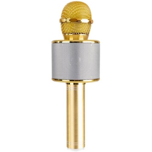 Max km01g Microfono Karaoke Gold da 6W con Bluetooth