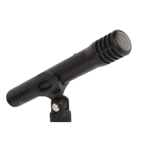 TASCAM TM-60 - Microfono a Condensatore per Recording