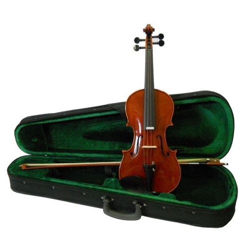 Violino 4/4 Set: Astuccio, Archetto e Colofonia