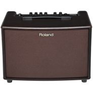 Roland AC60 RW