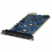 0 RGBlink Input Option 190-0002-11-0 Input 4K module HDMI 1.4/Display Port for Venus X2