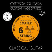 Ortega NYP34N Corde / set di corde per chitarra classica