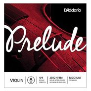 D'Addario J812 4/4M Single Violin