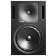 Genelec 1032C - Monitor da Studio SAM 250W + 150W