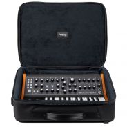 Moog Music Subsequent 25 SR Case