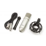 TASCAM TM-80 - Microfono a Condensatore per Home Studio Recording