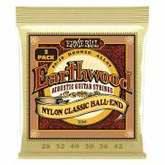 0 Ernie Ball 3069 Erthwd Folk Nylon, Pk 28 42