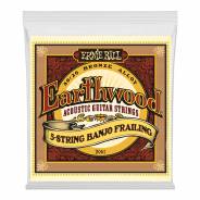 ERNIE BALL - 2061 - Earthwood 5-String Banjo Frailing .010-.013-.015-.024w-.010