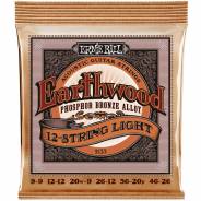 Ernie Ball 2153 Phosphor Bronze