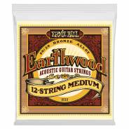 Ernie Ball 2012 Earthwood 80-20 Bronze Medium