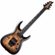 ESP LTD H-1001FR Black Natural Burst