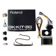 Roland GK KIT BG3 - Kit per GK-3B Dvided Pickup