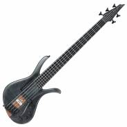 Ibanez AFR5FMP Transparent Gray Flat