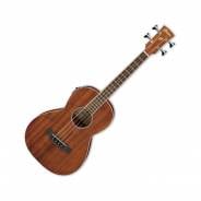 Ibanez PNB14E Open Pore Natural - Basso Acustico Elettrificato