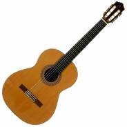 Jose Torres JTC-75 - Chitarra Classica 4/4