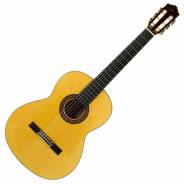 Jose Torres JTF-50 - Chitarra Flamenca