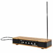 Moog Etherwave Theremin