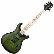 PRS DW CE 24 Hardtail Limited Edition Jade Smokeburst