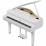 Roland GP-6 Polished White