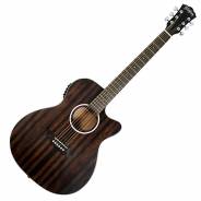 Washburn Deep Forest Ebony ACE Striped Ebony