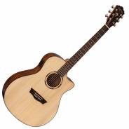 Washburn Woodline O10SCE Natural