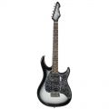 Peavey RAPTOR CUSTOM SILVERBURST Chitarra elettrica solid body