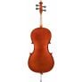 SoundSation VSCE 44 Violoncello 4/4 retro