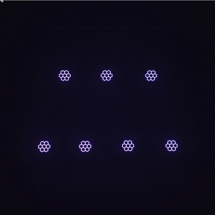 Testa Mobile Wash 7x40W con Zoom EVOLITE Evo Wash 740z Strip