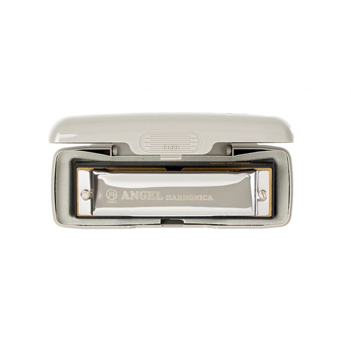 Armonica diatonica 10 note chiave in RE ANGEL AH-10P D