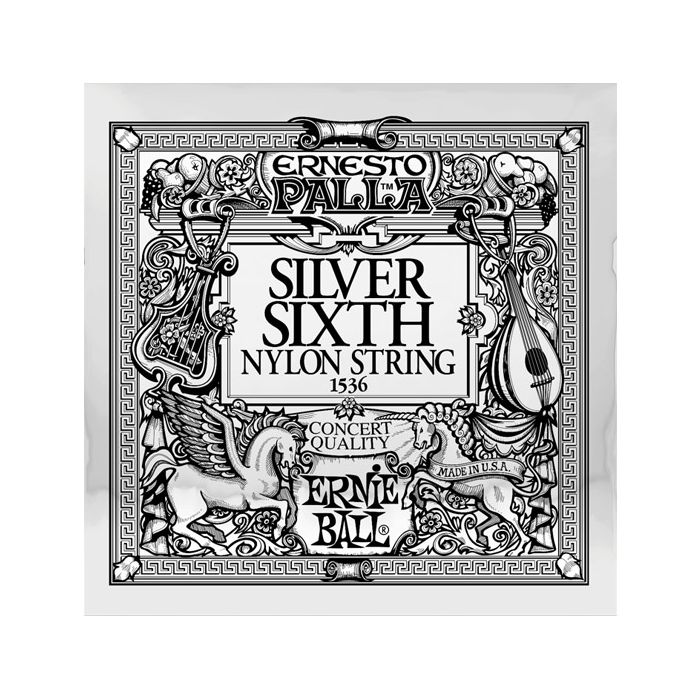 Singola per Chitarra Classica Silver 6th 042 Ernie Ball 1536 Silver 6th .042