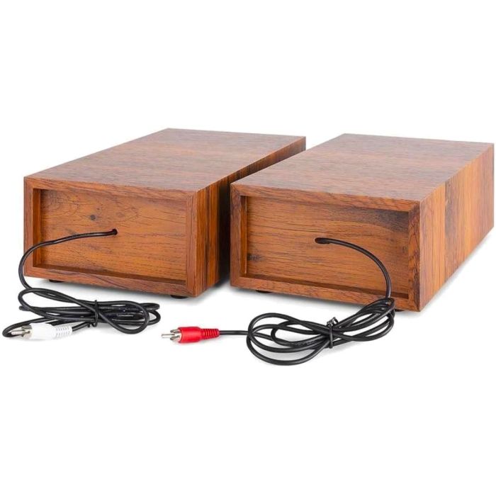 Giradischi Bluetooth con 2 Altoparlanti Fenton RP165 con Bluetooth