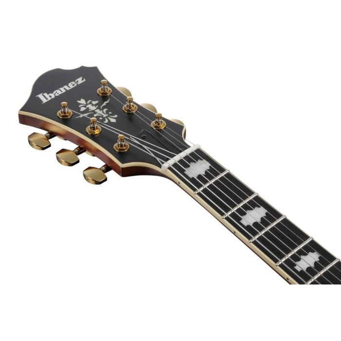 IBANEZ PM3C Pat Metheny Signature Chitarra Elettrica Amber