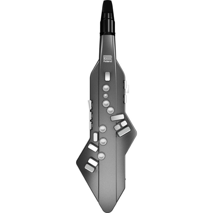 Aerophone GO Strumento a fiato Digitale Roland AE-05 Aerophone GO