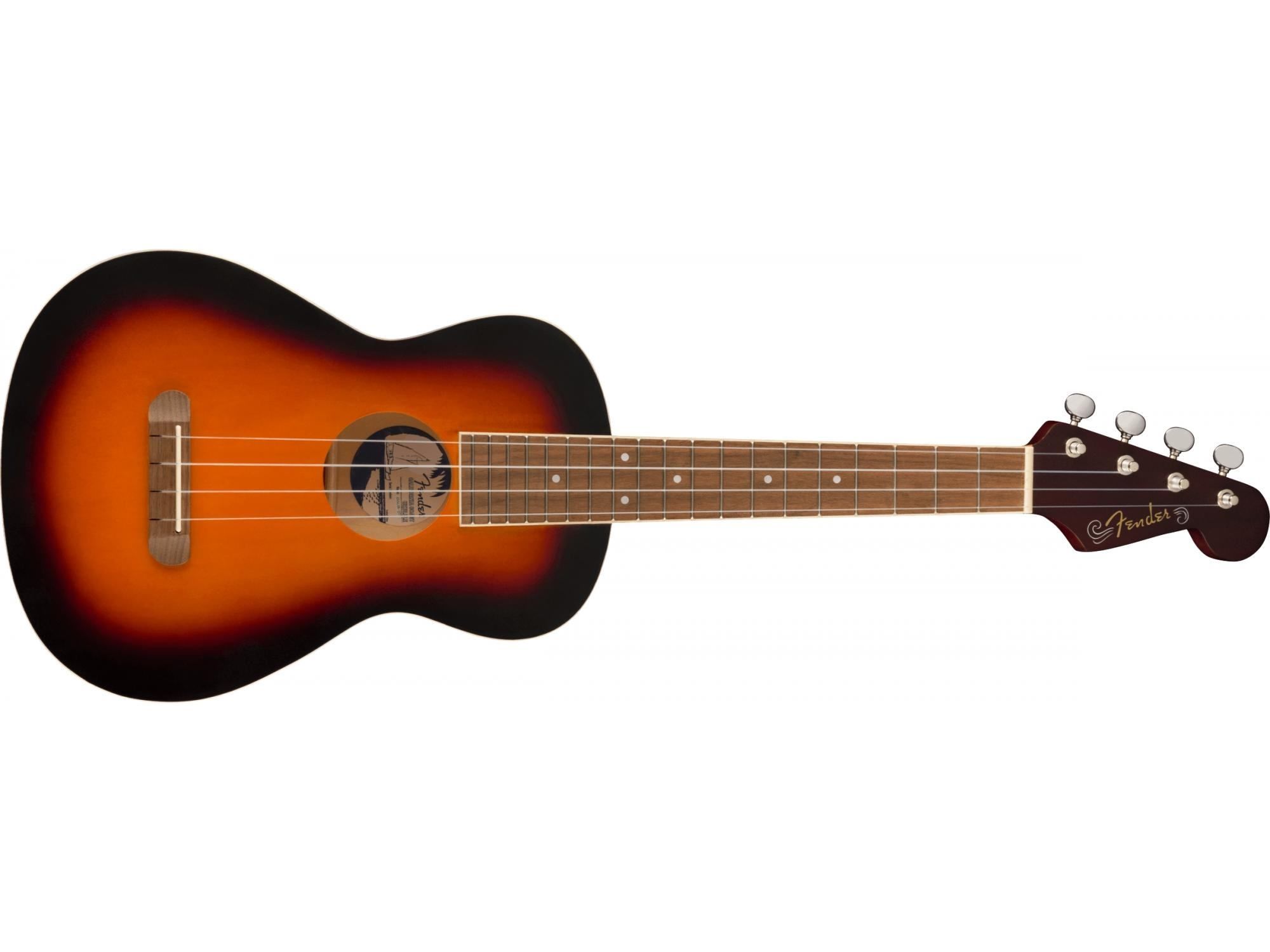 Capotasto WINGO Per Chitarra Acustica, Elettrica, Ukulele, Mandolino – Argento Con 10 Plettri Antiscivolo